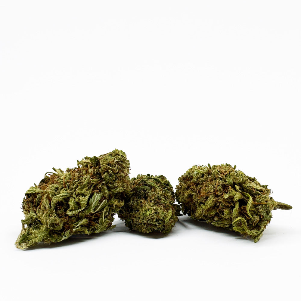 Amnesia Core Cut - Hybride USA