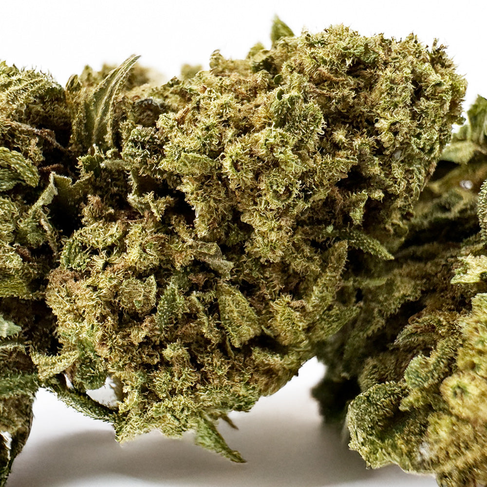 Bubblegum - Greenhouse