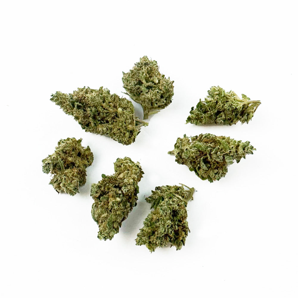 Small buds NLX - Indoor