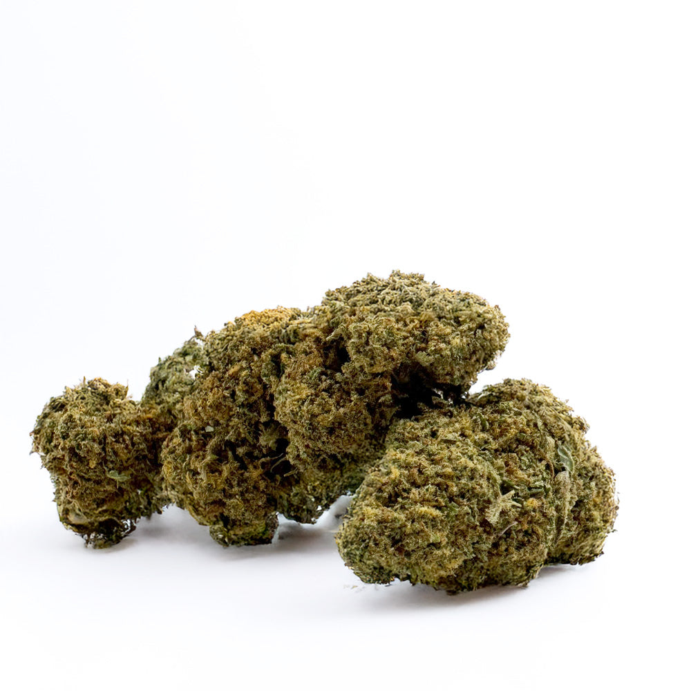 Orange Bud - Indoor