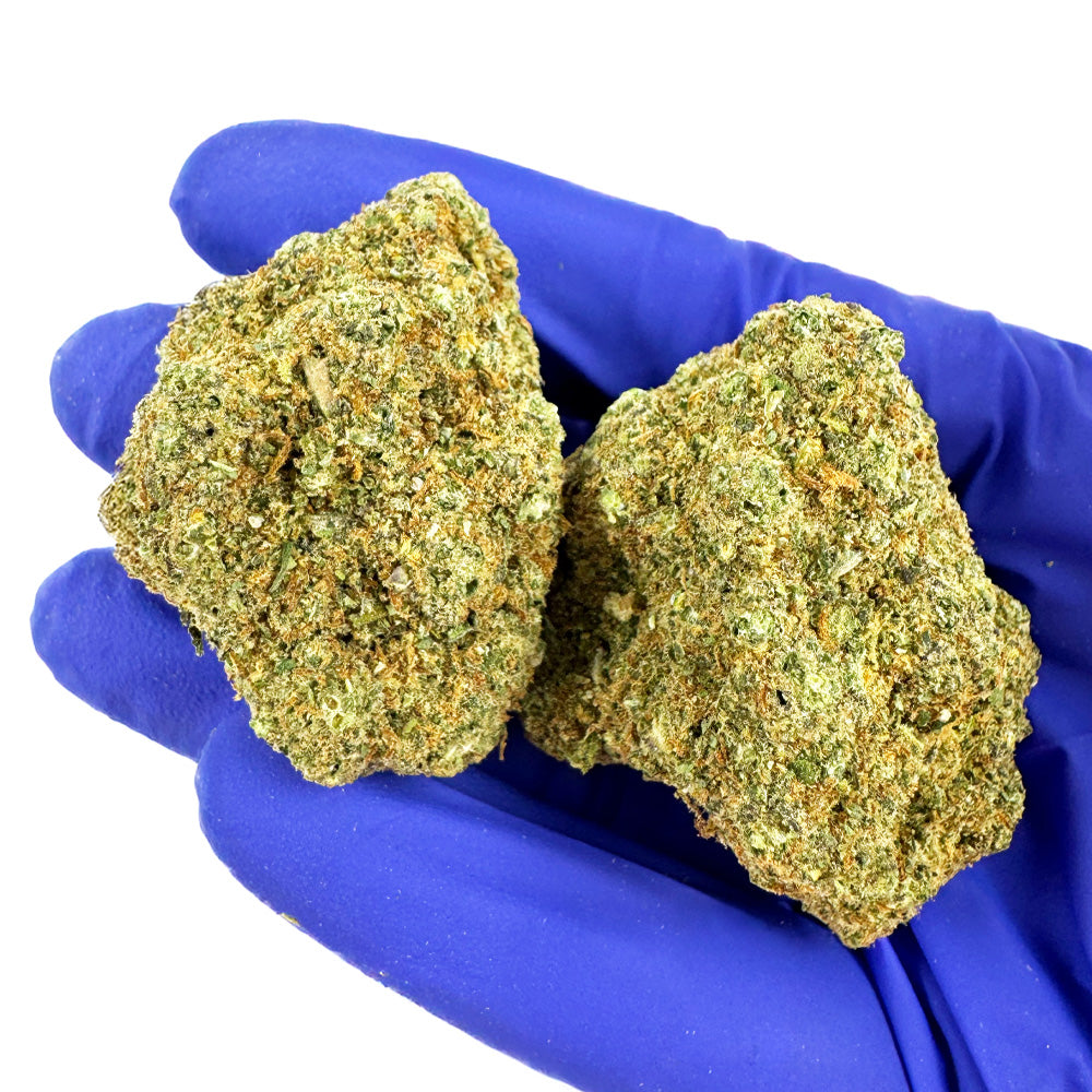 Rainbow X GP3 CBD - Indoor