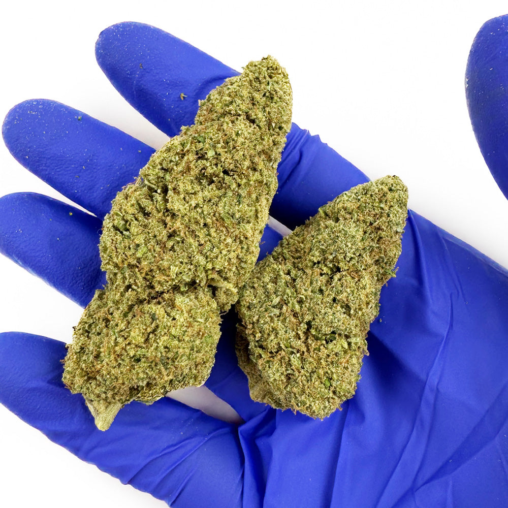 Super Special Sauce - Indoor USA