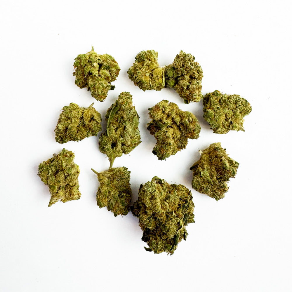 Small buds Amnesia JSH - Indoor