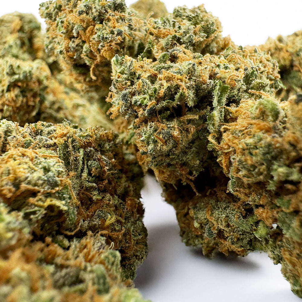 Blueberry Muffin CBD - Indoor