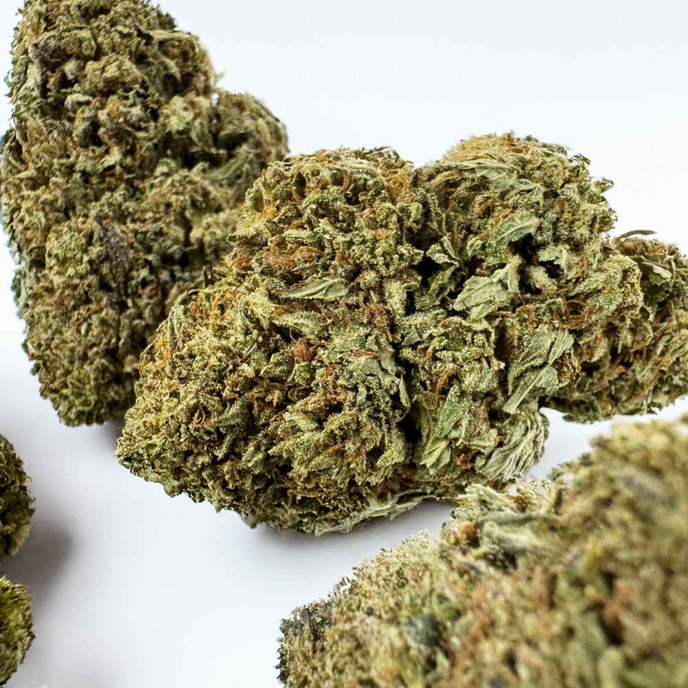 Critical - Hybride USA