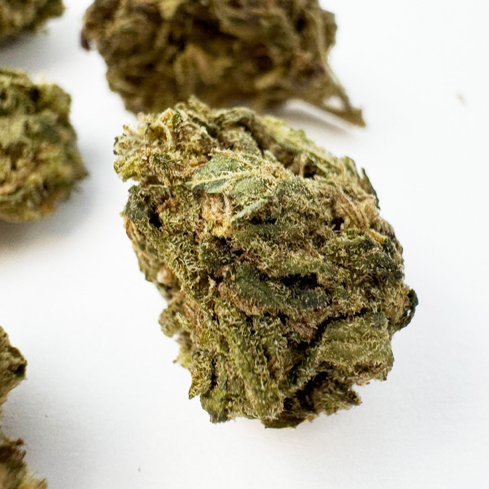 Small buds Lemon Haze - Greenhouse — photo 2