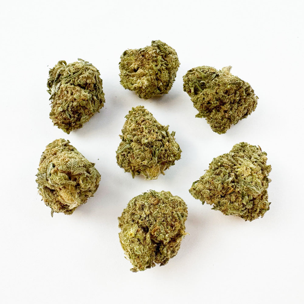 Medium buds GP3 B2 - Indoor — photo 1
