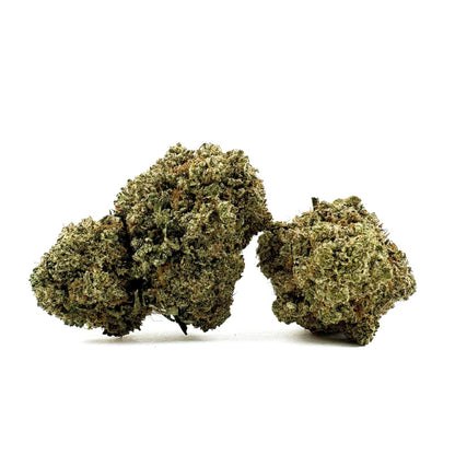 Guava Kush CBD - Indoor