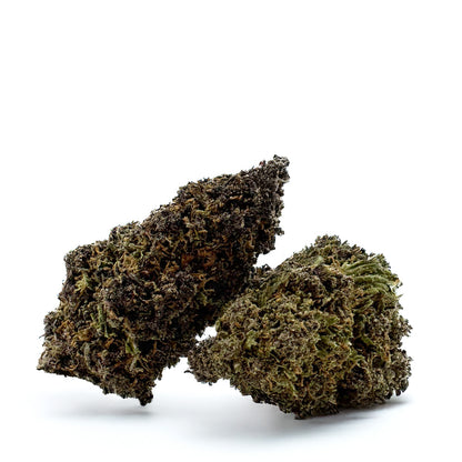 Legendary Platinium - Hybride USA