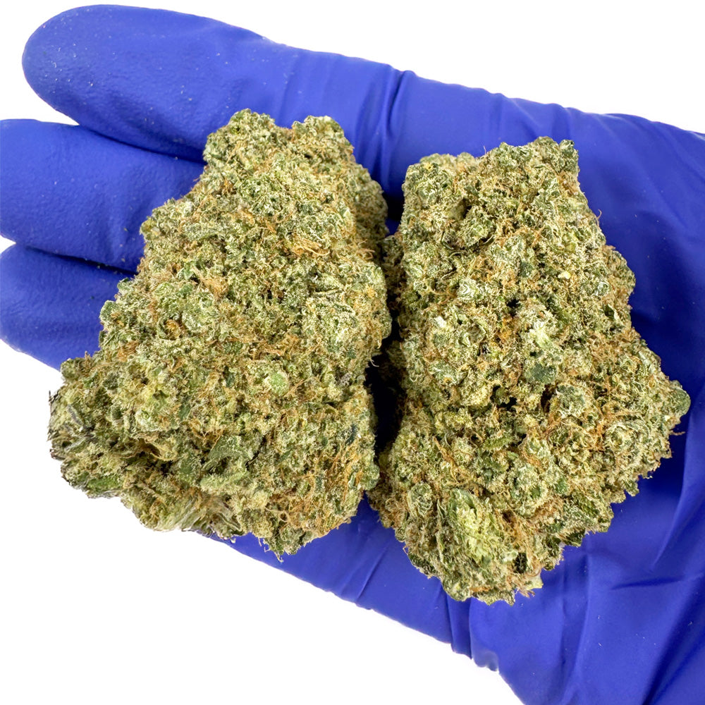 Limon Cali CBD - Hydroponique Cali