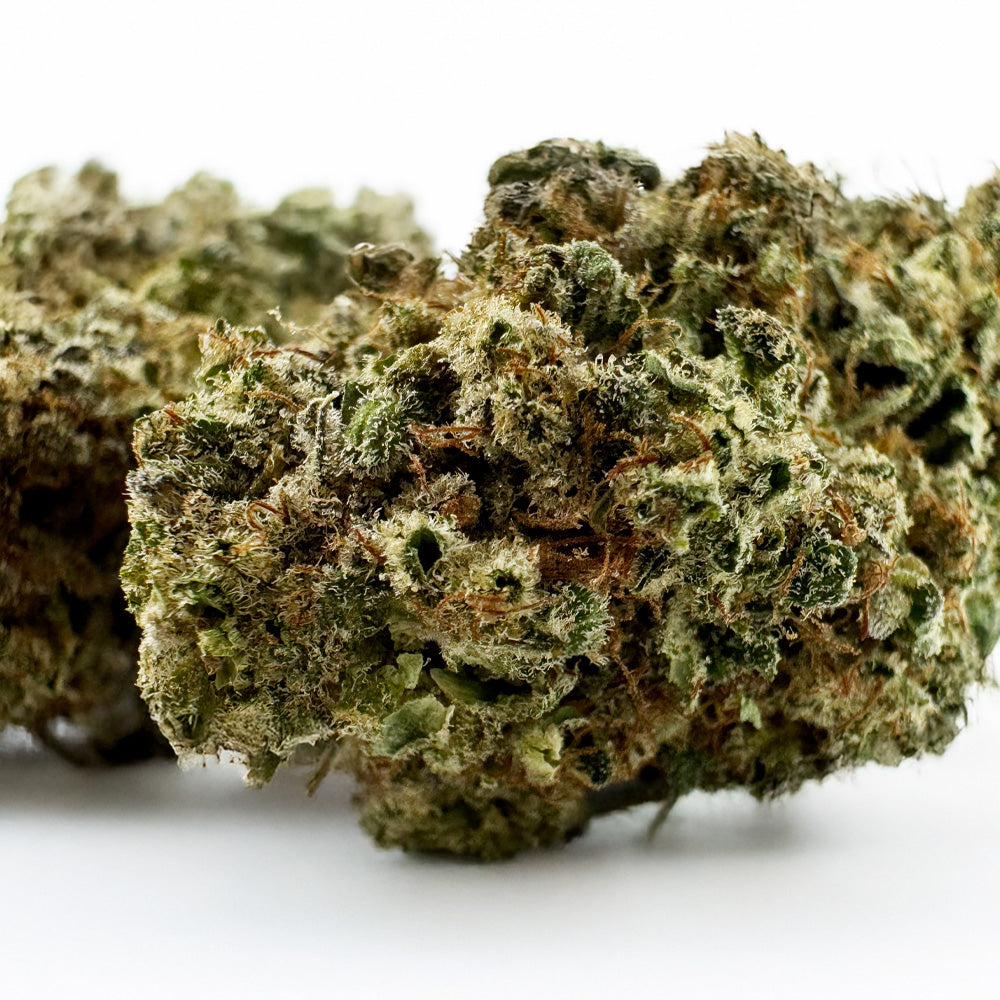 Malabar #B2 CBD - Indoor