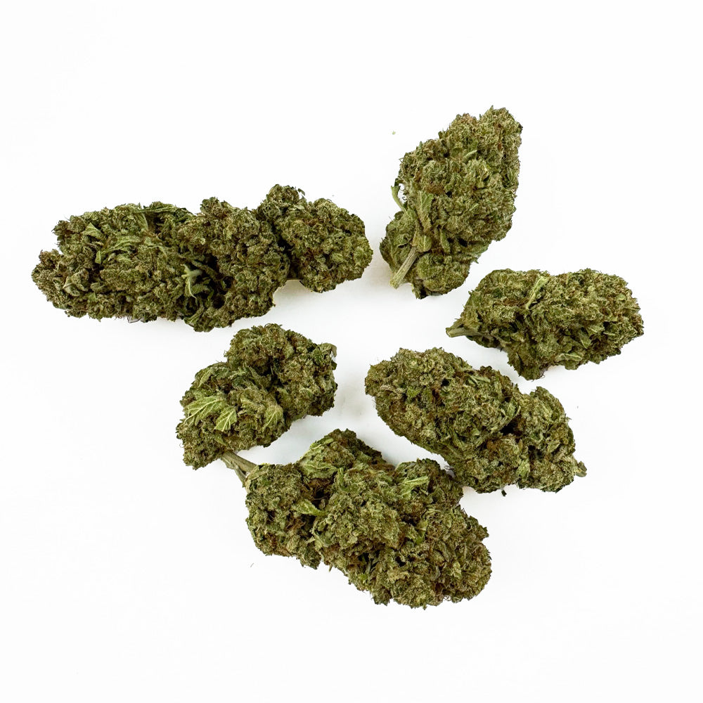 Malabar CBD - Indoor — photo 2
