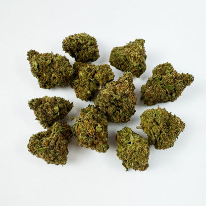 Small buds Sunset Sherbet - Indoor