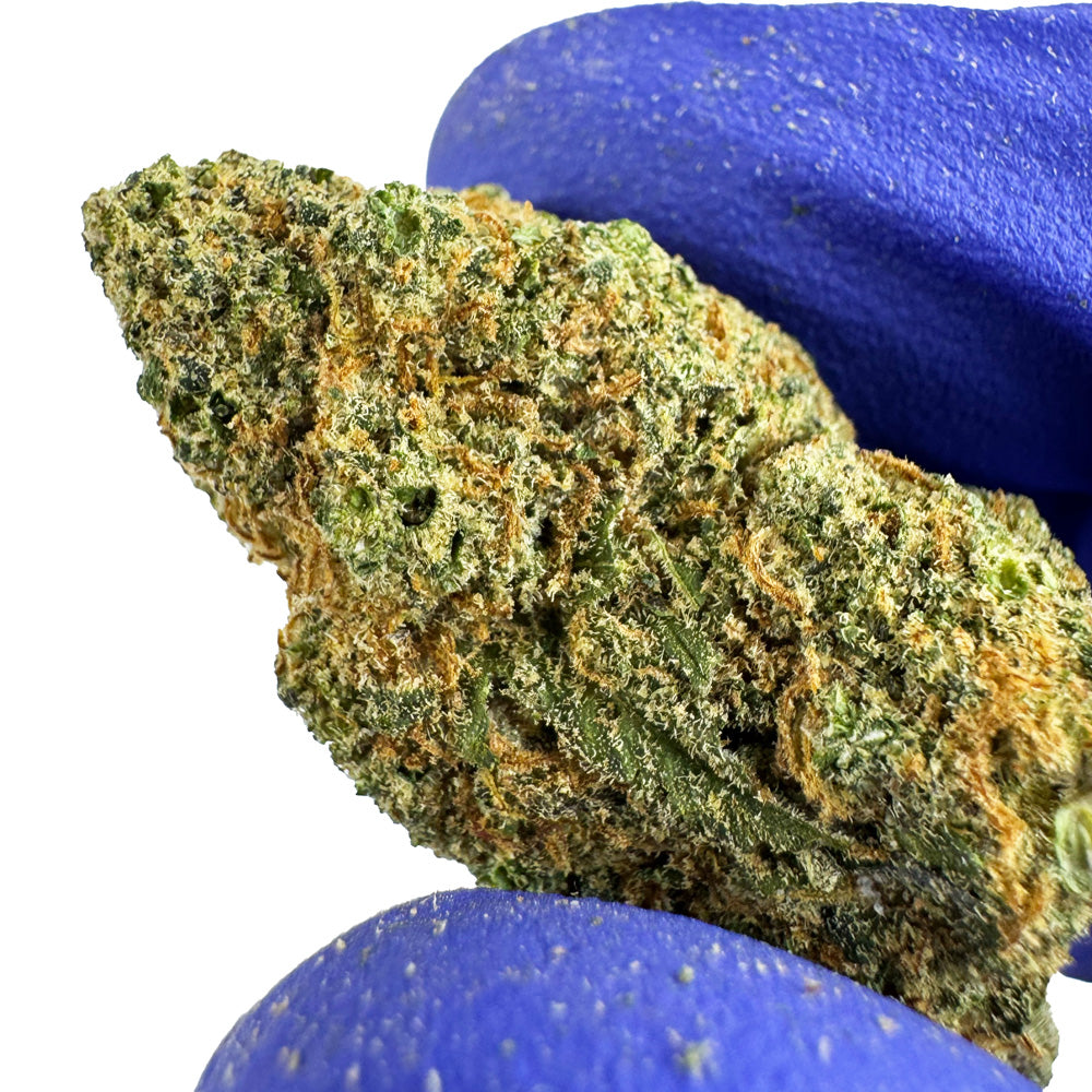 Sunset Sherbert CBD - Indoor