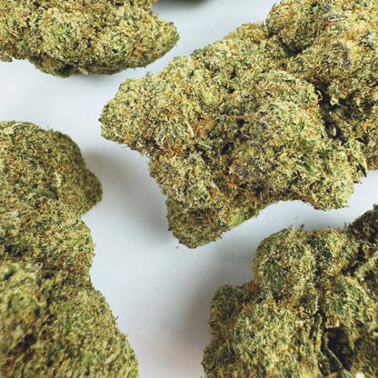 Watermelon CBD - Hydroponique Cali