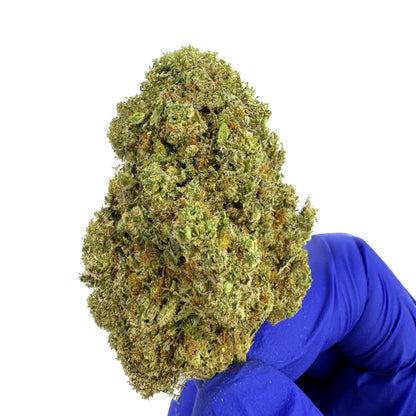 Zoap CBD - Indoor