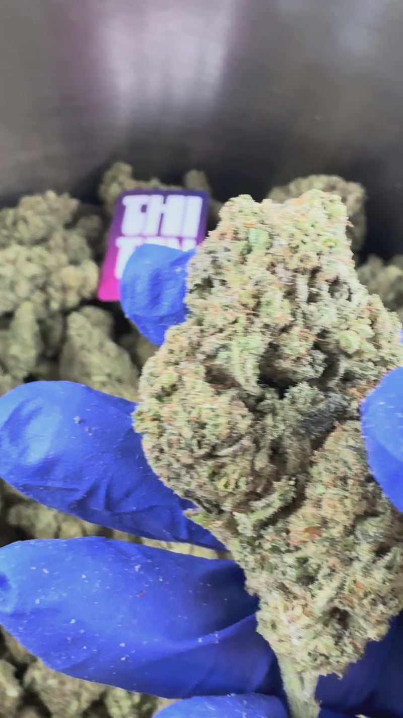 Malabar X Zoap CBD - Indoor — vidéo de présentation
