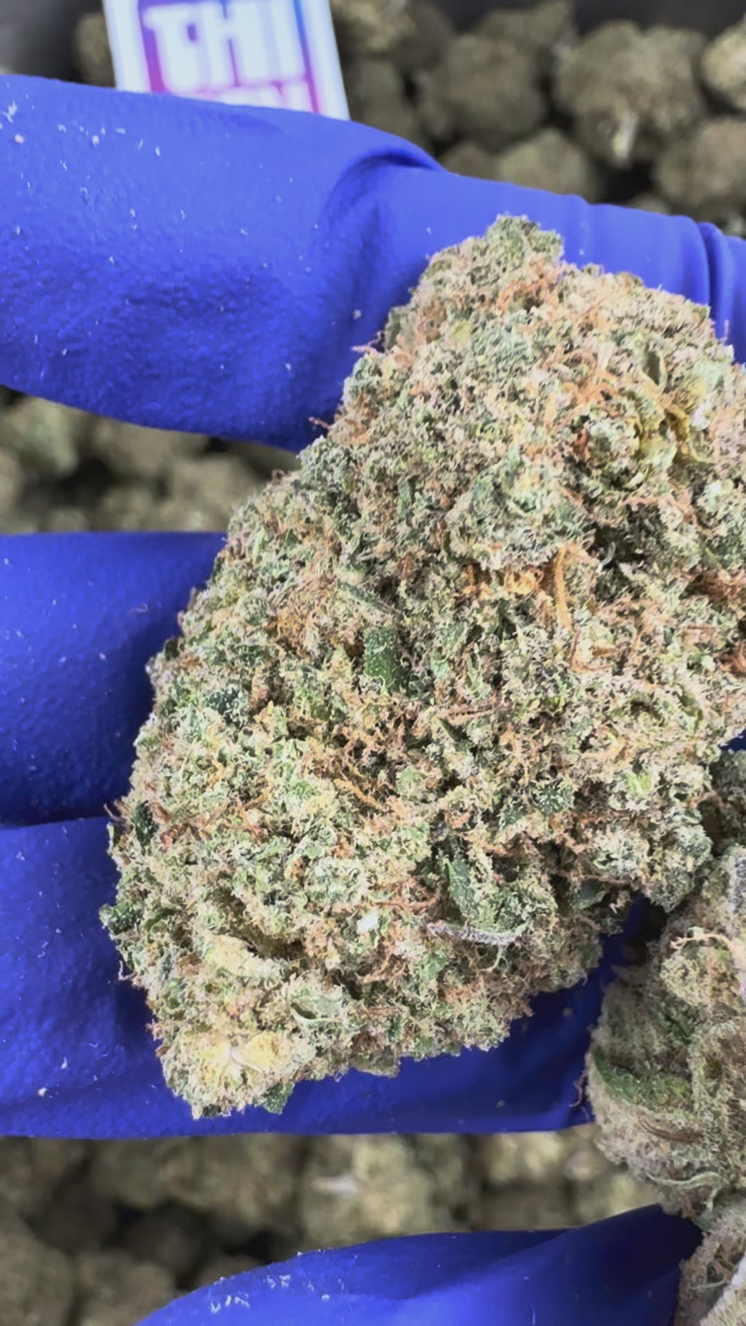 Charger la vidéo: Vidéo de présentation du Ice-O-Lator 40% CBD