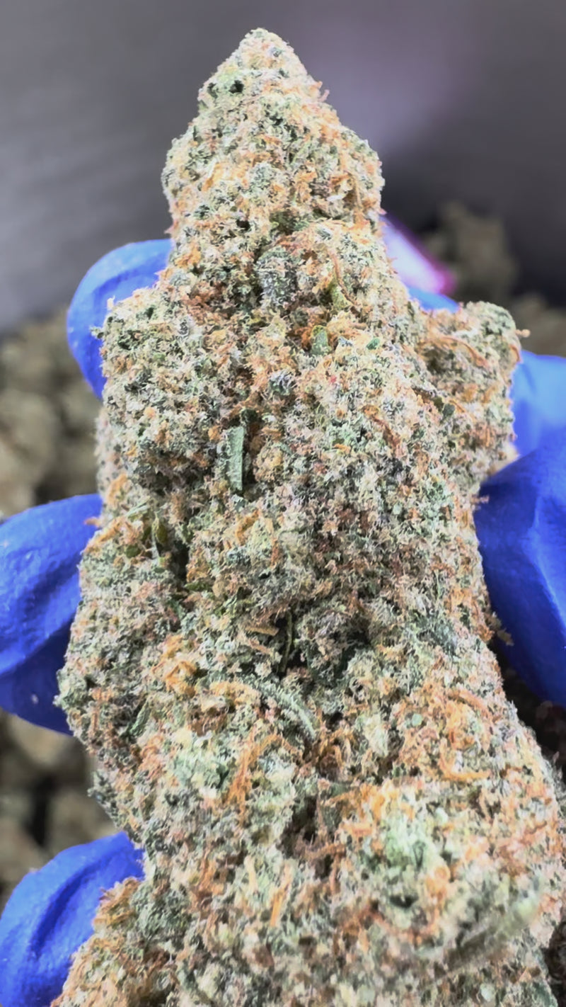 Lemon Popperz CBD - Indoor — vidéo de présentation